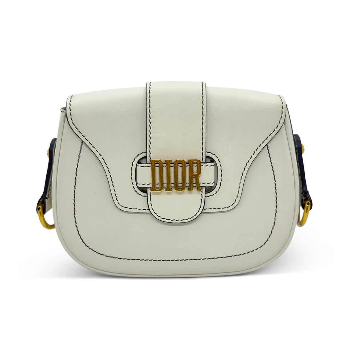 Dior D-Fence Saddle Bag