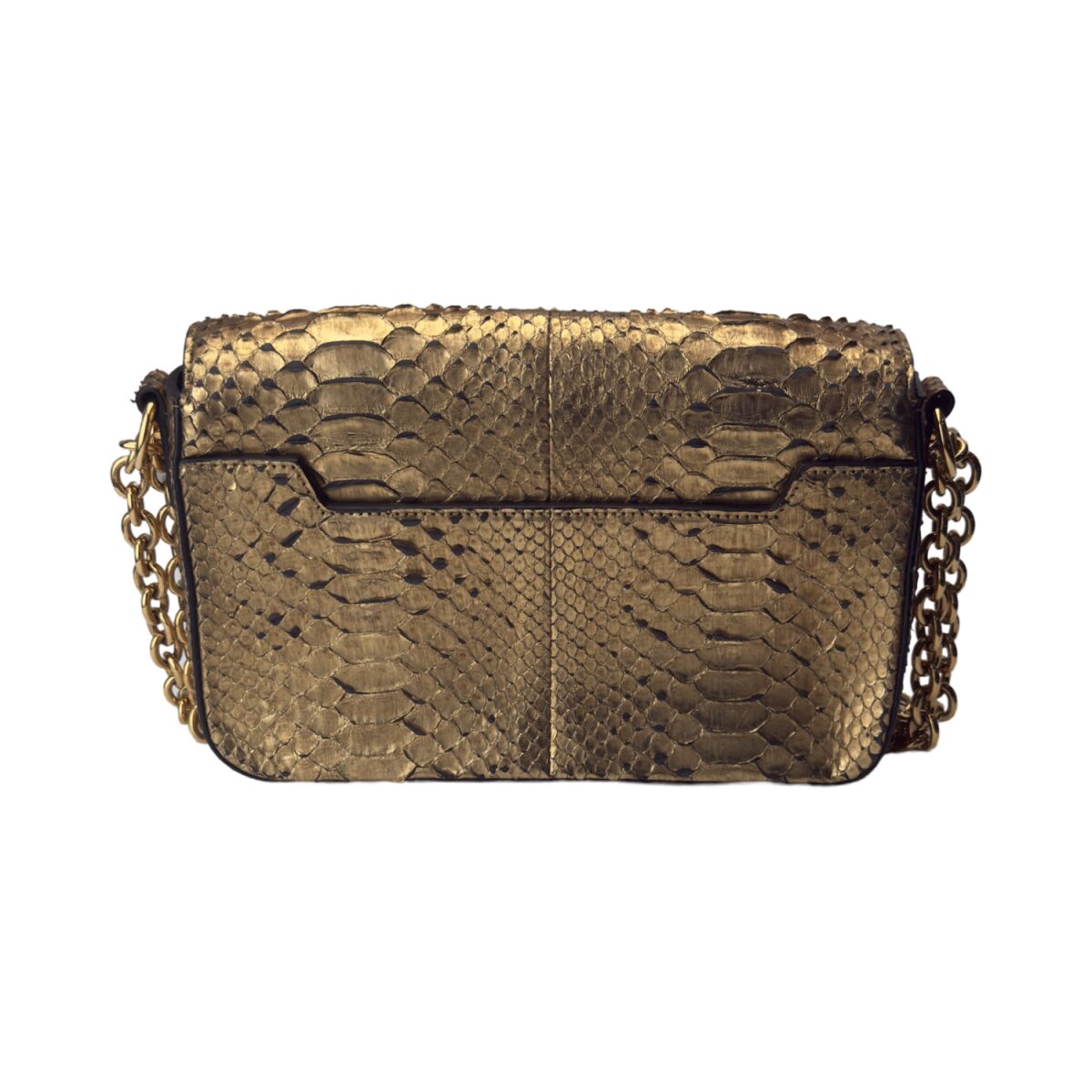 Tom Ford Women’s Natural Medium Natalia Metallic Python Bag