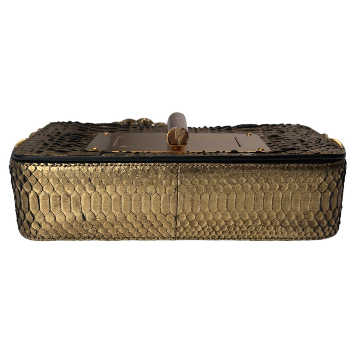 Tom Ford Women’s Natural Medium Natalia Metallic Python Bag