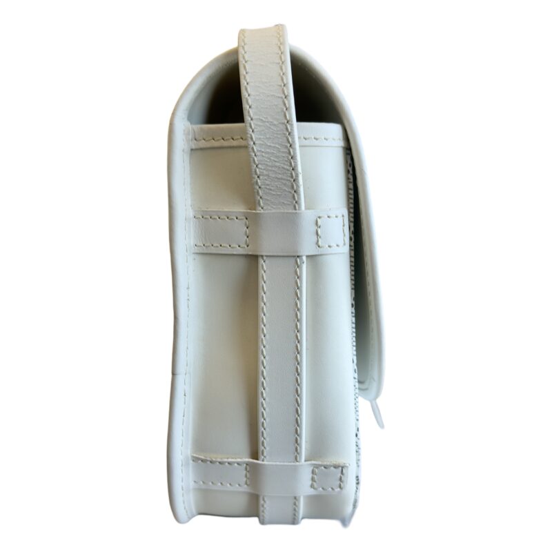 Goyard Belvedere II PM