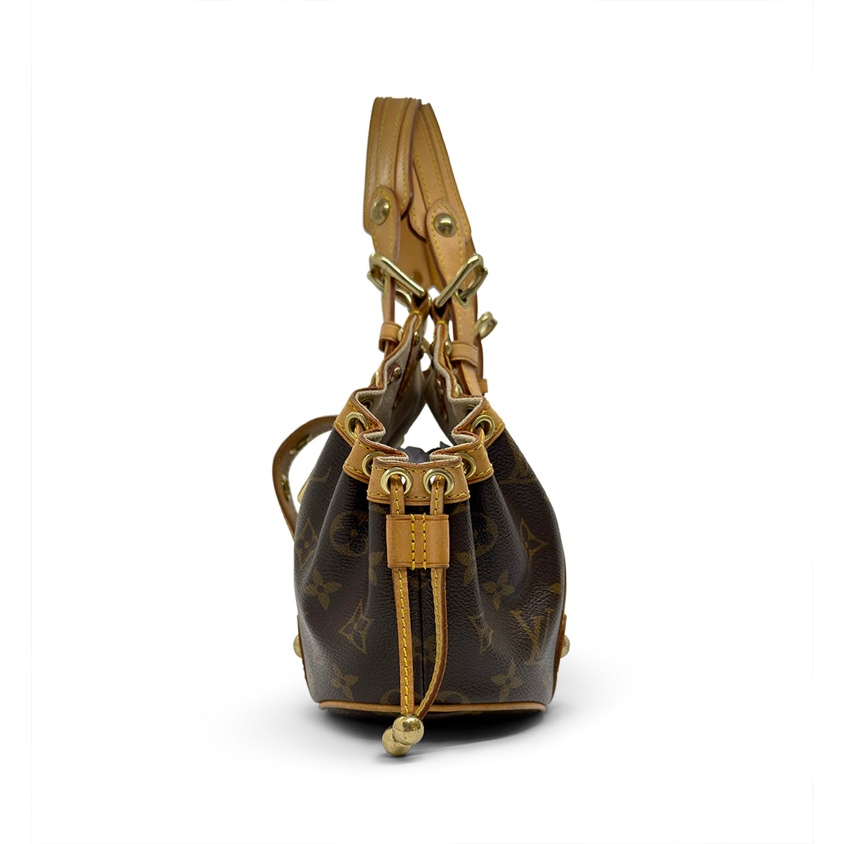 Limited Edition Louis Vuitton Monogram Theda GM