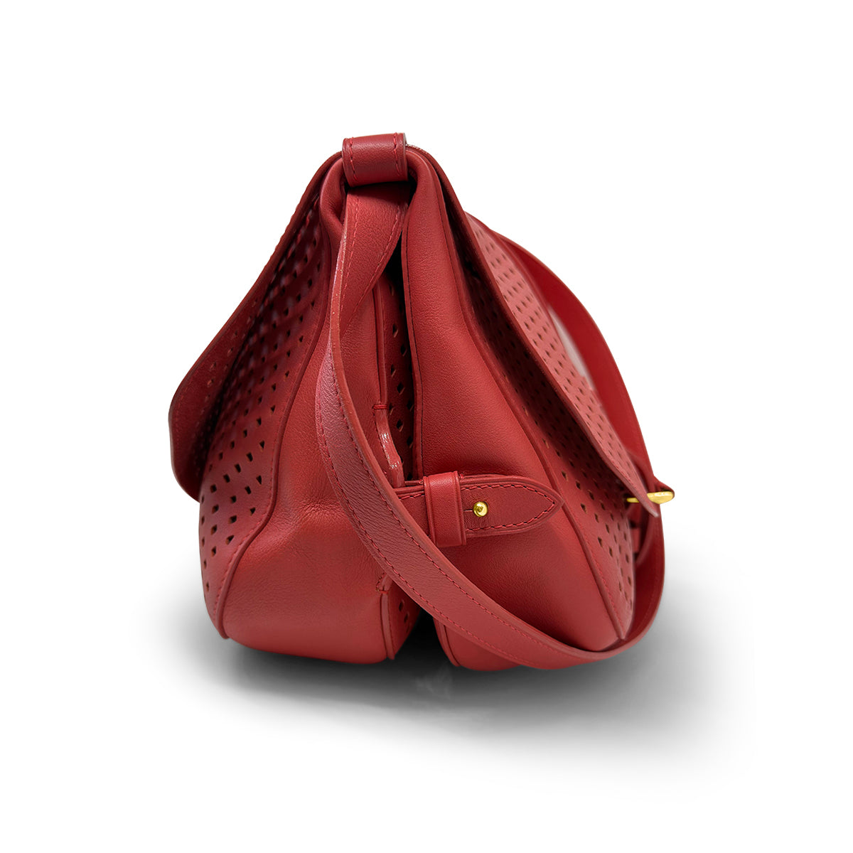 Louis Vuitton Sofia Coppola Flore Perforated Saumur bag