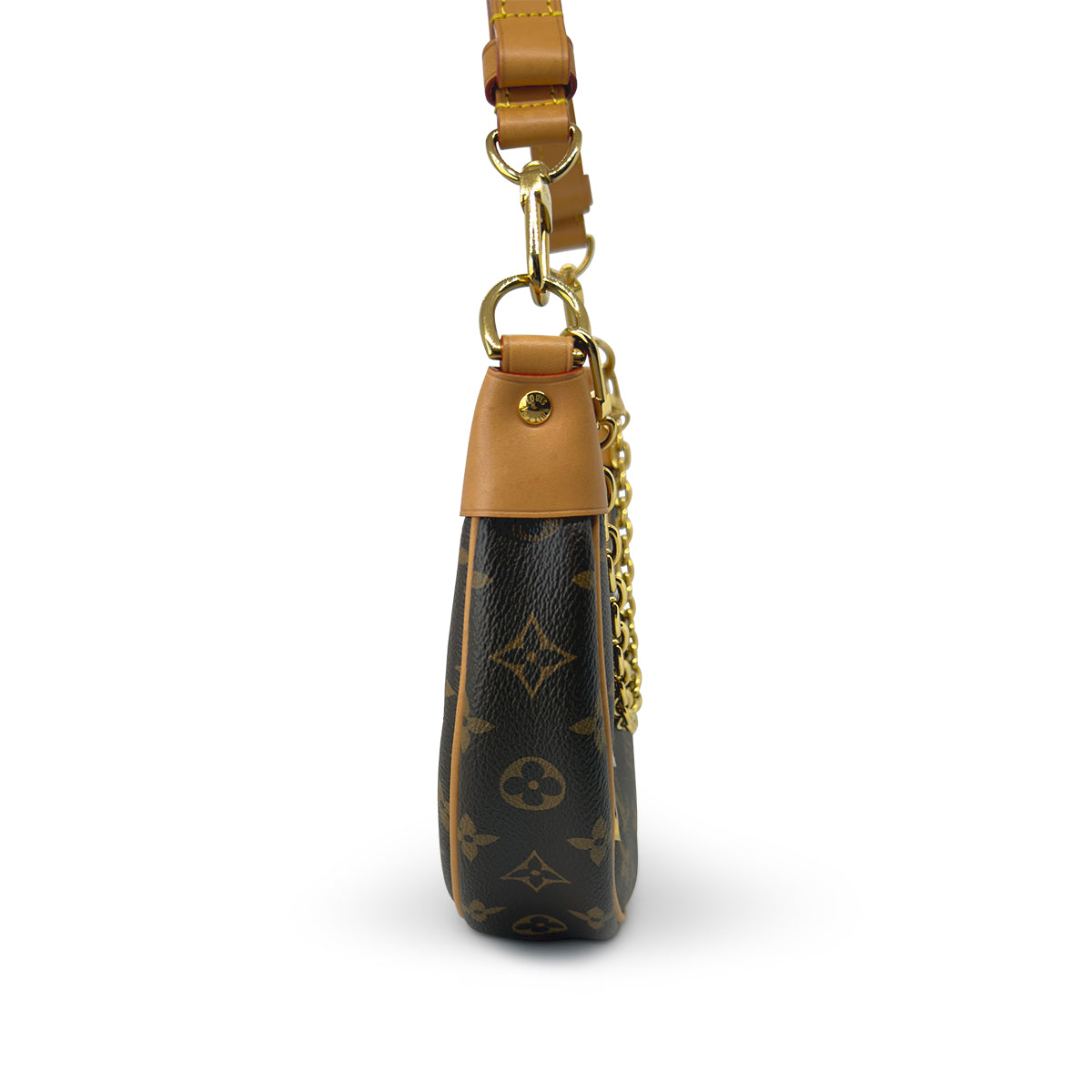 Louis Vuitton Loop Monogram Canvas handbag