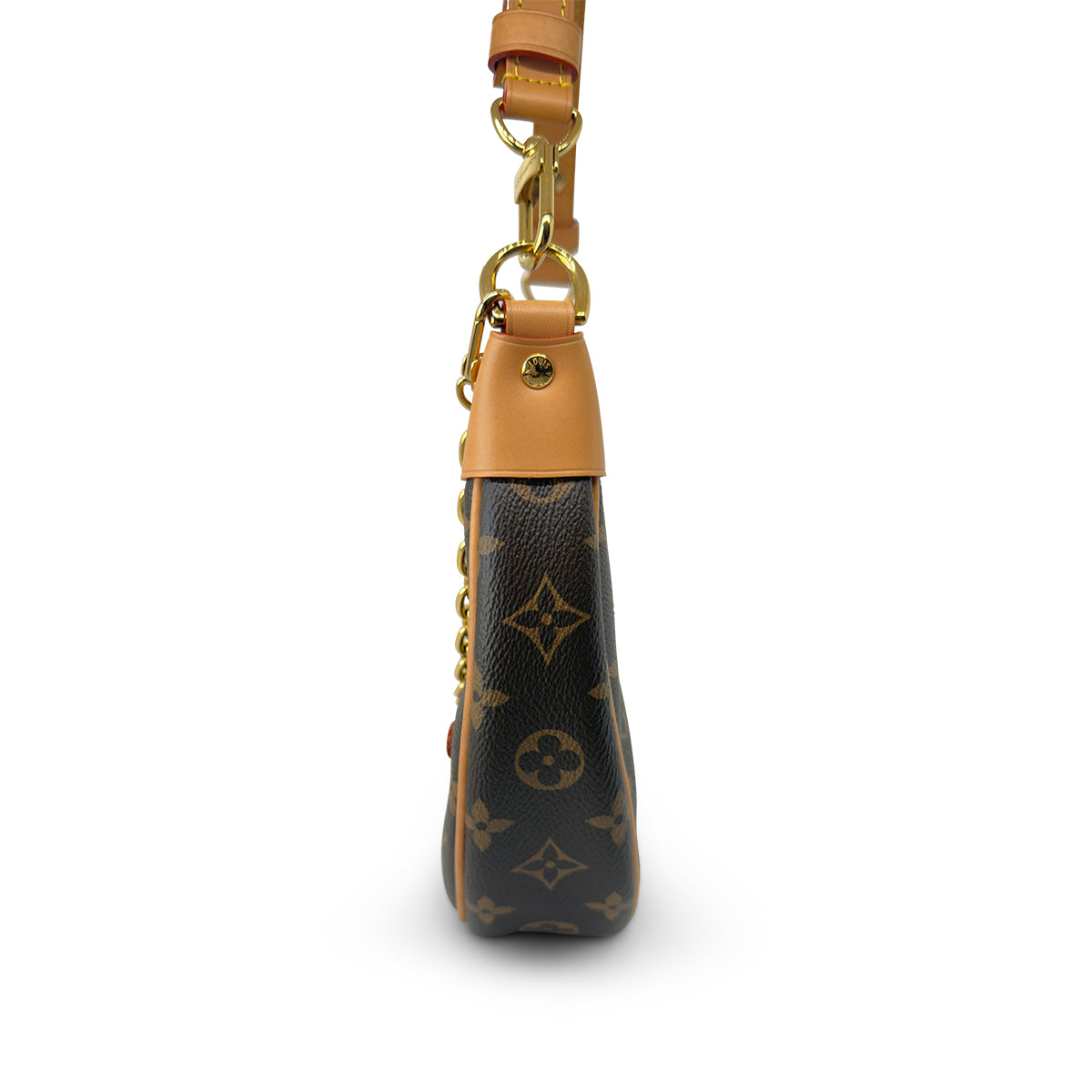 Louis Vuitton Loop Monogram Canvas handbag