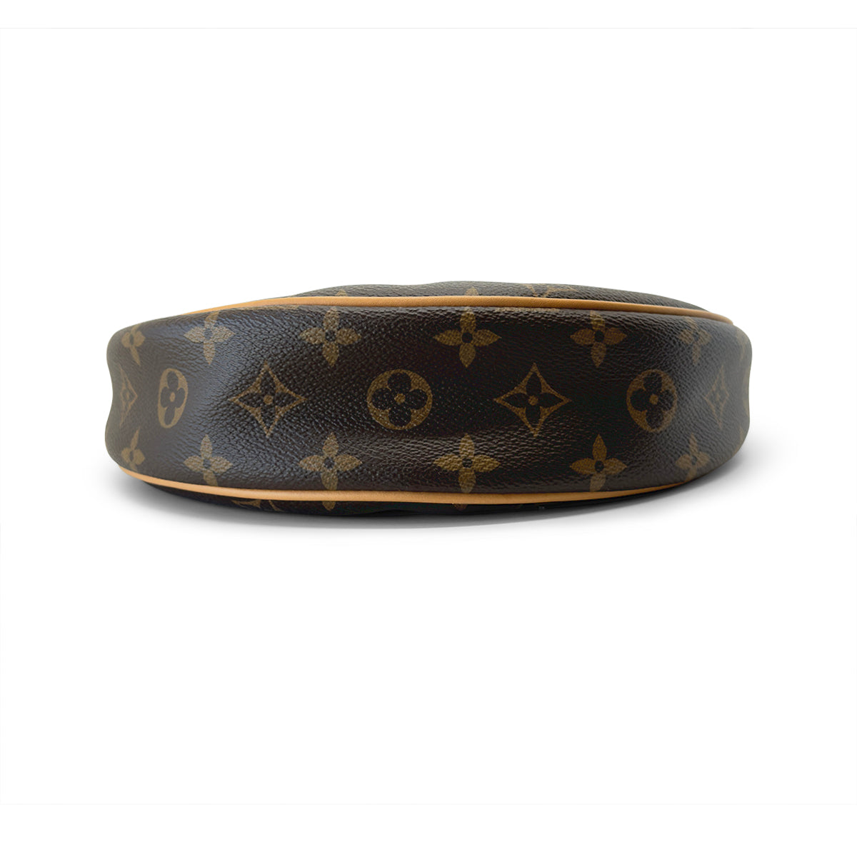 Louis Vuitton Loop Monogram Canvas handbag