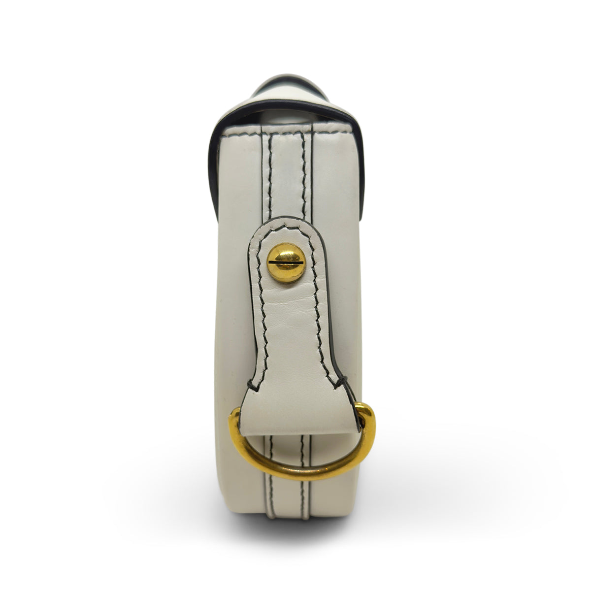Dior D-Fence Saddle Bag
