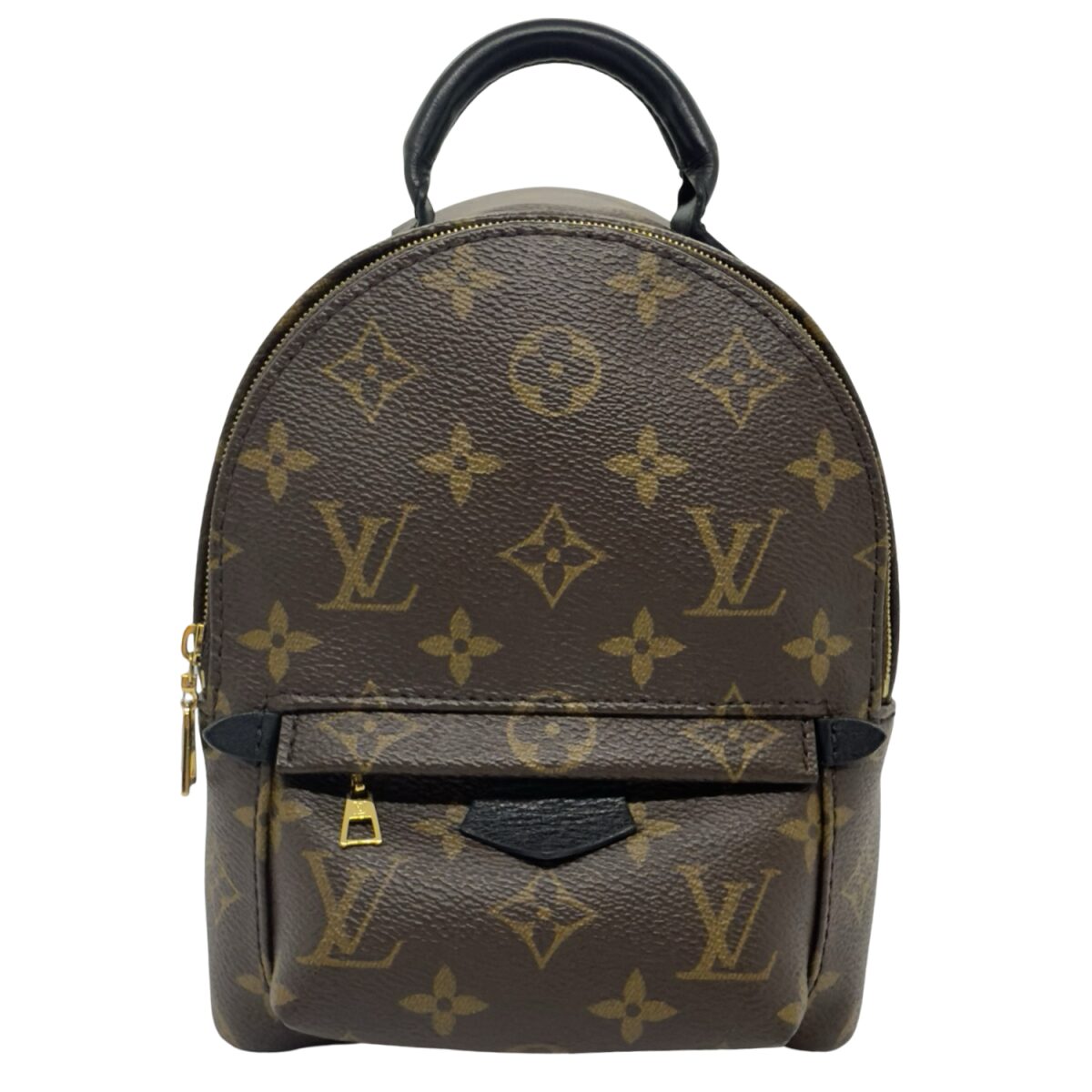 Louis Vuitton Palm Springs Mini Backpack