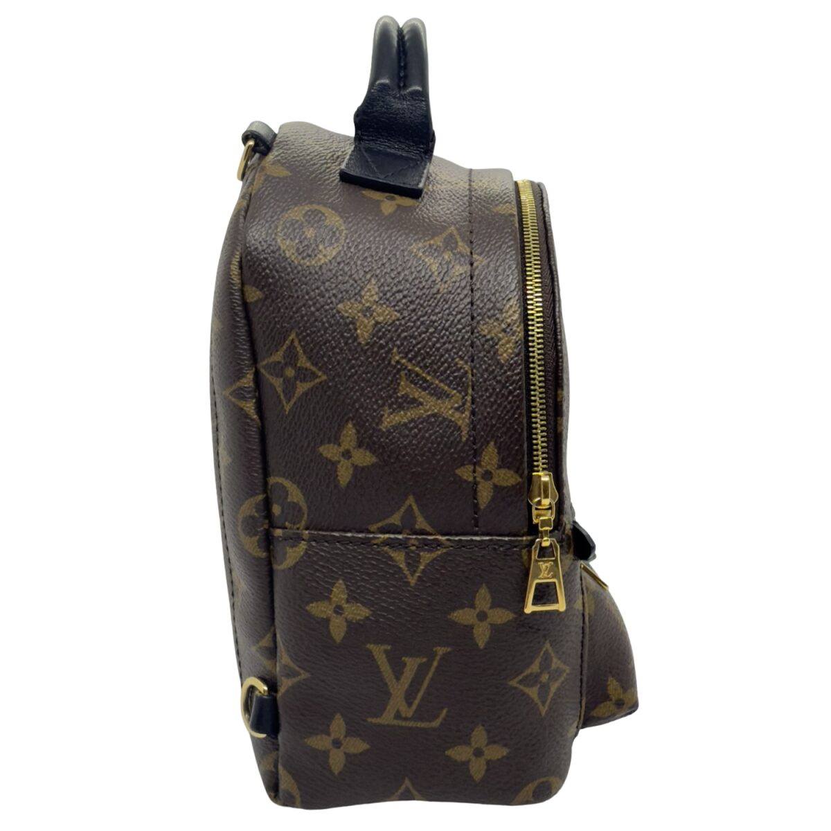 Louis Vuitton Palm Springs Mini Backpack