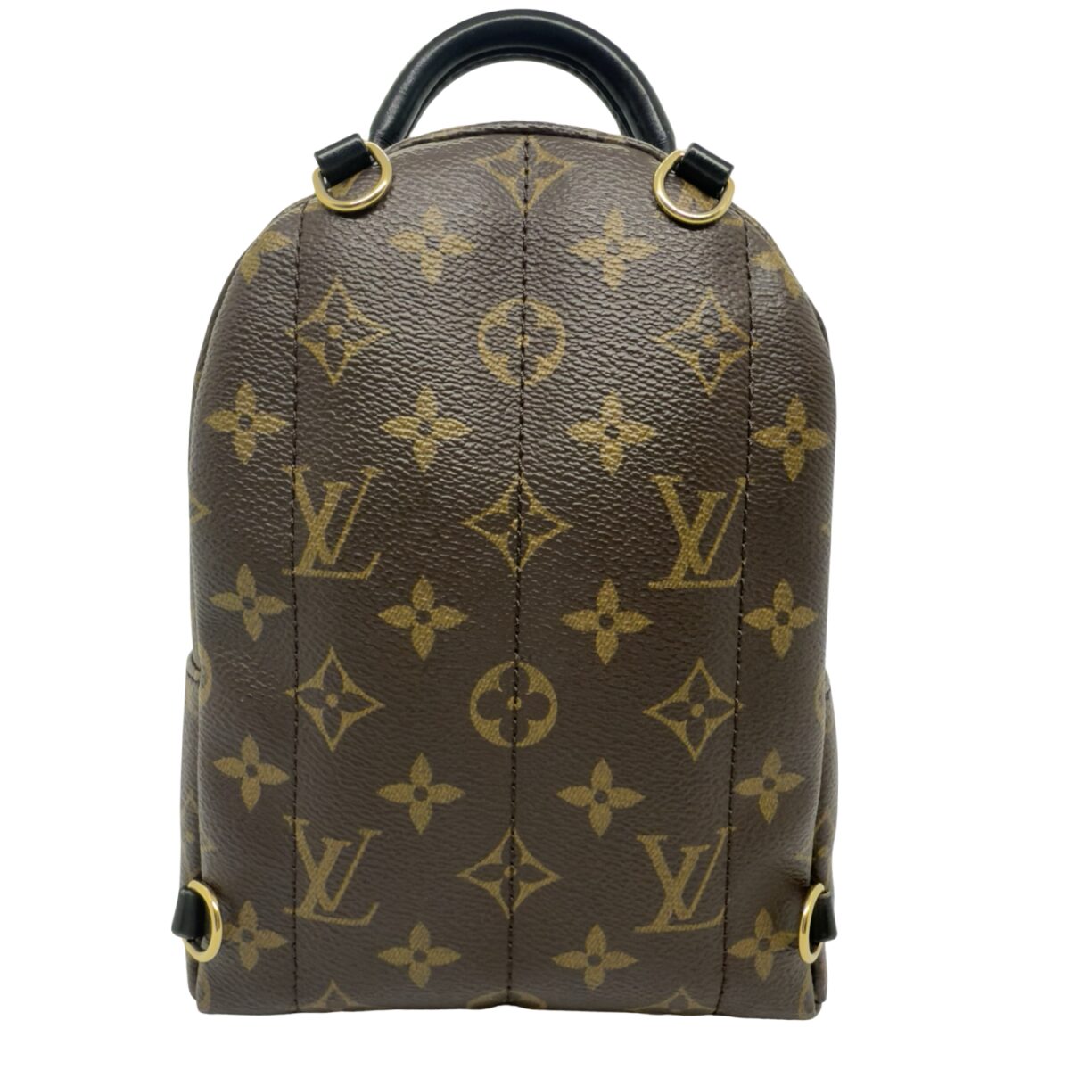Louis Vuitton Palm Springs Mini Backpack