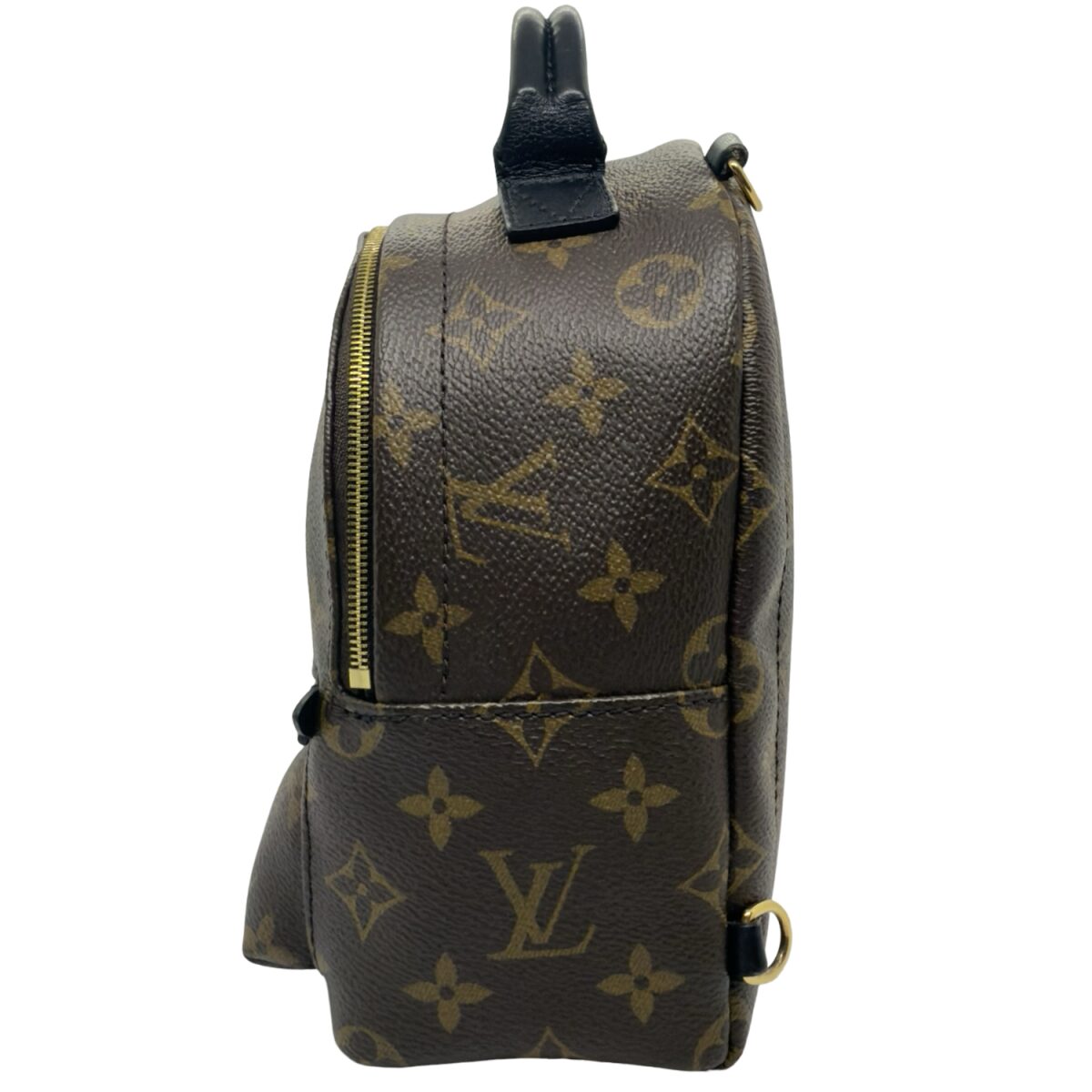 Louis Vuitton Palm Springs Mini Backpack