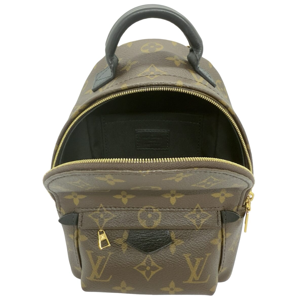 Louis Vuitton Palm Springs Mini Backpack