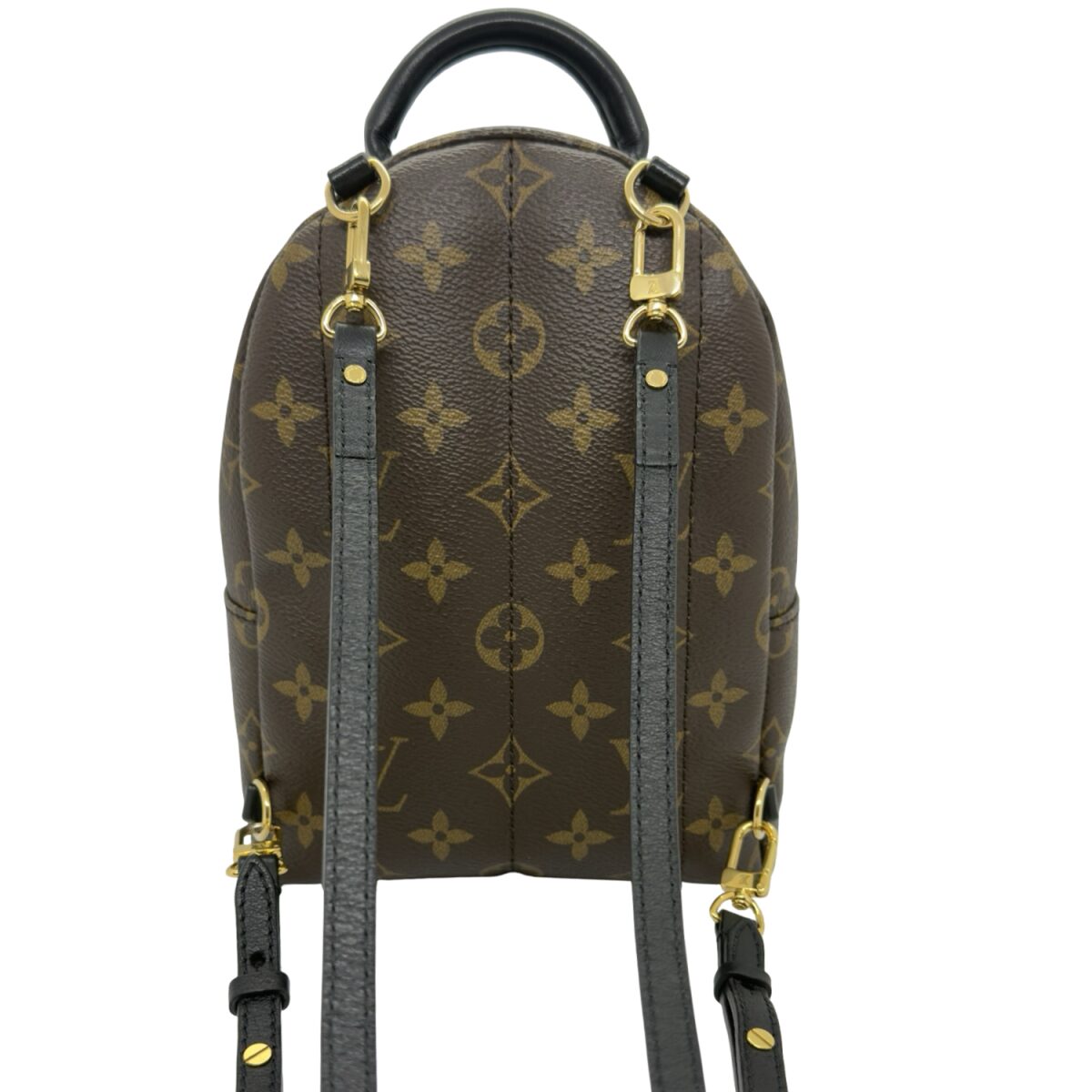 Louis Vuitton Palm Springs Mini Backpack