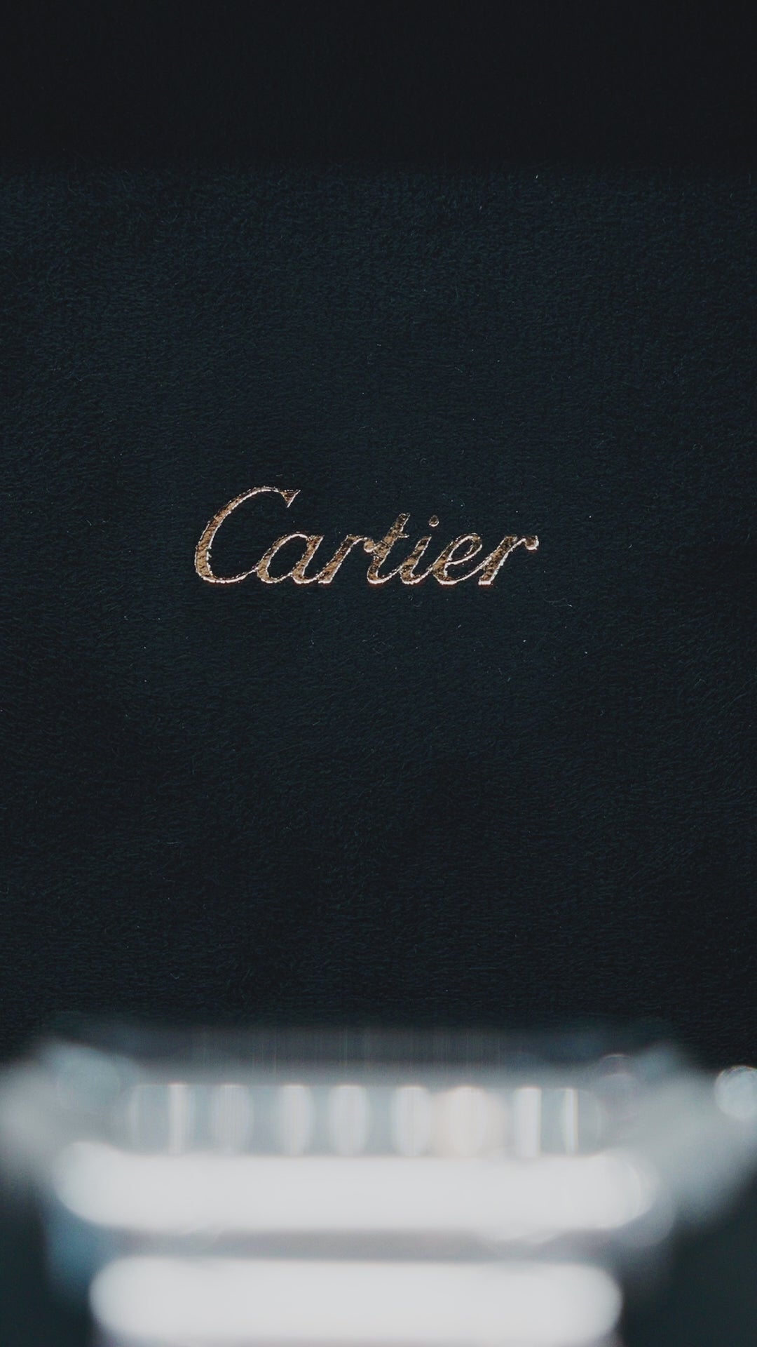 Cartier Santos de Cartier 2024 (WSSA0064) Gradient brown dial